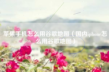 苹果手机怎么用谷歌地图（国内iphone怎么用谷歌地图）