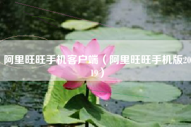 阿里旺旺手机客户端（阿里旺旺手机版2019）