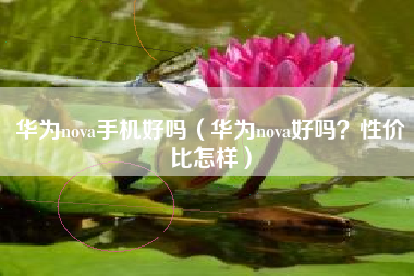 华为nova手机好吗（华为nova好吗？性价比怎样）