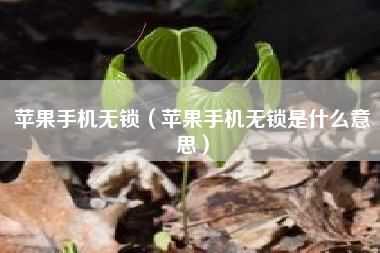 苹果手机无锁（苹果手机无锁是什么意思）