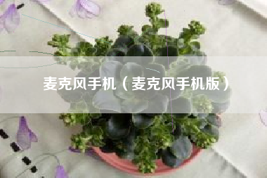 麦克风手机（麦克风手机版）