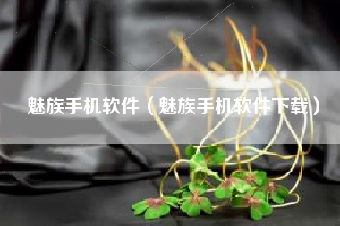 魅族手机软件（魅族手机软件下载）