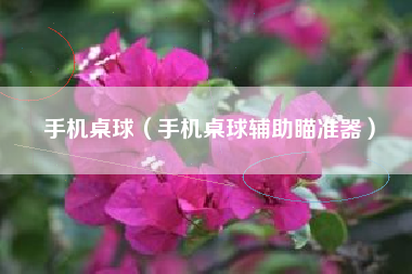 手机桌球（手机桌球辅助瞄准器）