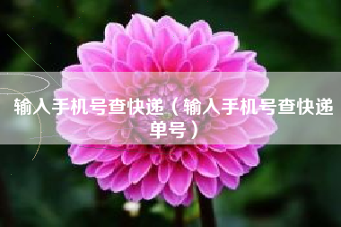 输入手机号查快递（输入手机号查快递单号）