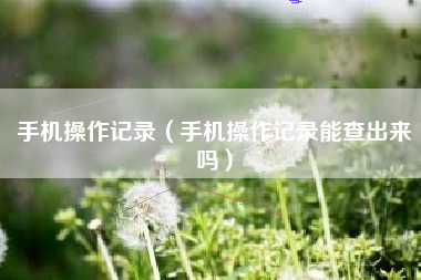 手机操作记录（手机操作记录能查出来吗）
