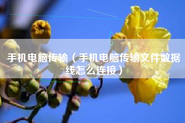 手机电脑传输（手机电脑传输文件数据线怎么连接）