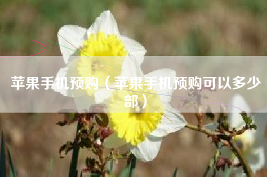 苹果手机预购（苹果手机预购可以多少部）