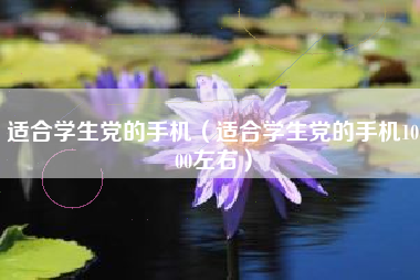 适合学生党的手机（适合学生党的手机1000左右）
