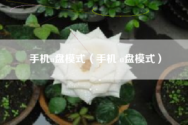 手机u盘模式（手机 u盘模式）