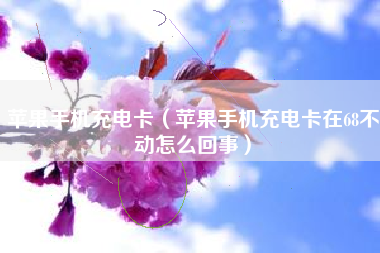 苹果手机充电卡（苹果手机充电卡在68不动怎么回事）