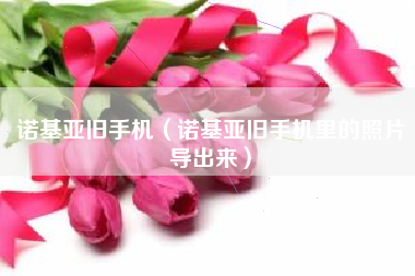 诺基亚旧手机（诺基亚旧手机里的照片导出来）