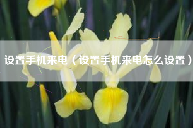 设置手机来电（设置手机来电怎么设置）