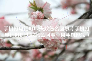 手机打电话呼叫失败怎么回事（手机打电话呼叫失败怎么回事苹果手机能接）