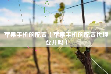苹果手机的配置（苹果手机的配置代理要开吗）