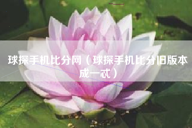 球探手机比分网（球探手机比分旧版本成一忒）