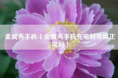 金属壳手机（金属壳手机充电时发麻正常吗）
