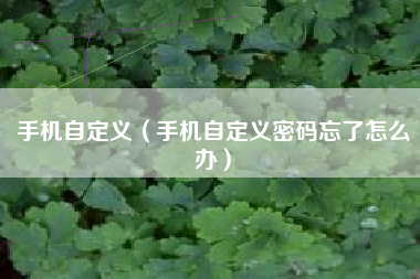 手机自定义（手机自定义密码忘了怎么办）