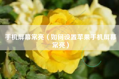 手机屏幕常亮（如何设置苹果手机屏幕常亮）