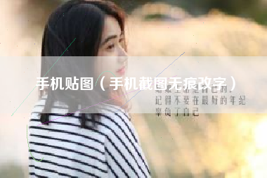 手机贴图（手机截图无痕改字）