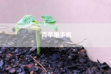 青苹果手机