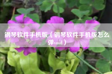 钢琴软件手机版（钢琴软件手机版怎么弹void）