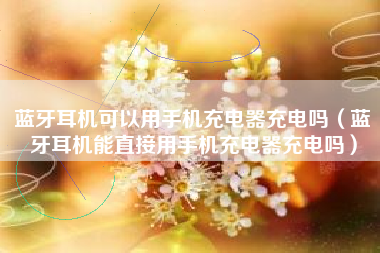 蓝牙耳机可以用手机充电器充电吗（蓝牙耳机能直接用手机充电器充电吗）
