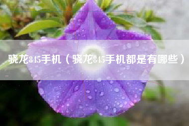 骁龙845手机（骁龙845手机都是有哪些）