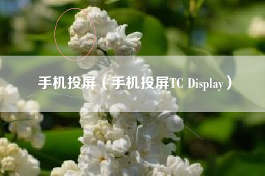 手机投屏（手机投屏TC Display）
