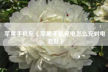苹果手机充（苹果手机充电怎么充对电池好）
