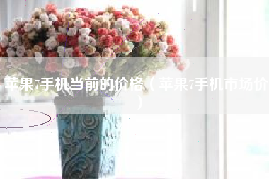 苹果7手机当前的价格（苹果7手机市场价）