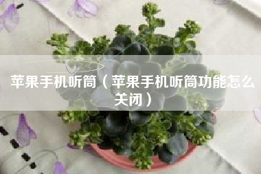 苹果手机听筒（苹果手机听筒功能怎么关闭）
