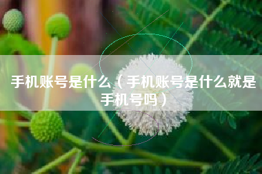 手机账号是什么（手机账号是什么就是手机号吗）
