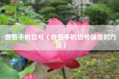 查看手机信号（查看手机信号强度的方法）