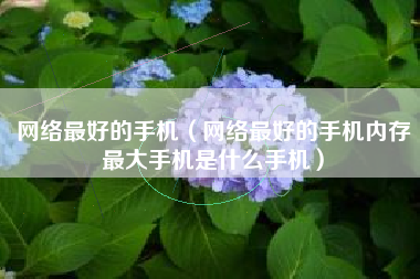 网络最好的手机（网络最好的手机内存最大手机是什么手机）