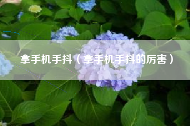 拿手机手抖（拿手机手抖的厉害）