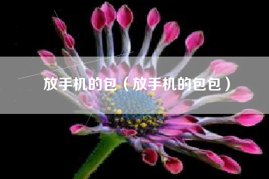 放手机的包（放手机的包包）