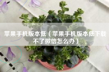 苹果手机版本低（苹果手机版本低下载不了微信怎么办）