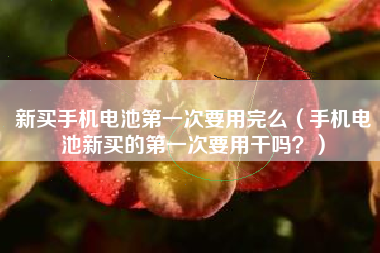 新买手机电池第一次要用完么（手机电池新买的第一次要用干吗？）