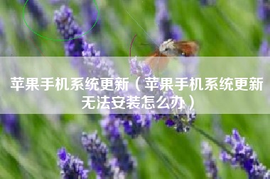 苹果手机系统更新（苹果手机系统更新无法安装怎么办）