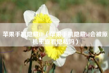 苹果手机隐藏ID（苹果手机隐藏id会被原机主查看隐私吗）