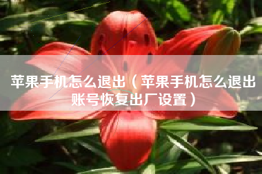 苹果手机怎么退出（苹果手机怎么退出账号恢复出厂设置）