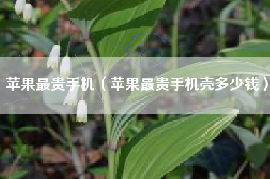 苹果最贵手机（苹果最贵手机壳多少钱）