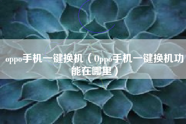oppo手机一键换机（Oppo手机一键换机功能在哪里）