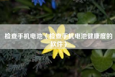 检查手机电池（检查手机电池健康度的软件）