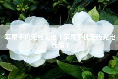 苹果手机无线充电（苹果手机无线充电线圈）