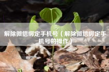 解除微信绑定手机号（解除微信绑定手机号的操作）