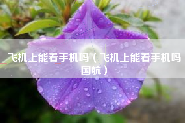 飞机上能看手机吗（飞机上能看手机吗国航）