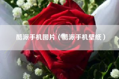 酷派手机图片（酷派手机壁纸）