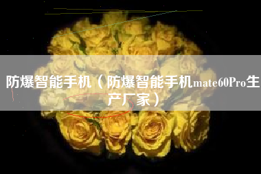 防爆智能手机（防爆智能手机mate60Pro生产厂家）
