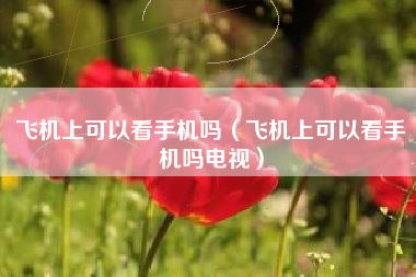 飞机上可以看手机吗（飞机上可以看手机吗电视）